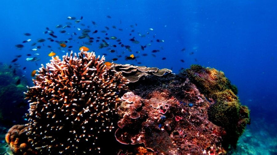Koh Ngai: Emerald Cave, Kradan, Chueak Private Longtail Boat - Good To Know