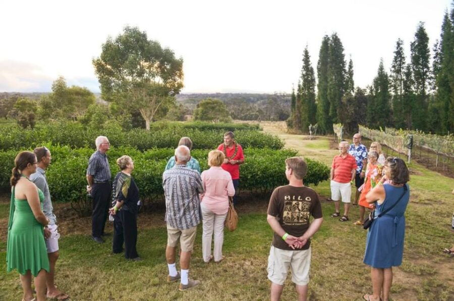 Kona: Hawaii Volcanoes National Park Tour - Good To Know