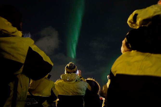Kopar Fine Dining Dinner and Northern Lights Cruise From Reykjavik