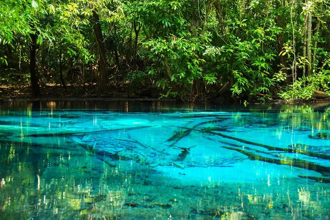 Krabi Rainforest Full Day Adventure Tour With Lunch - Good To Know