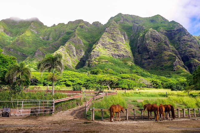 Kualoa Ranch - Jungle Expedition Tour - Good To Know