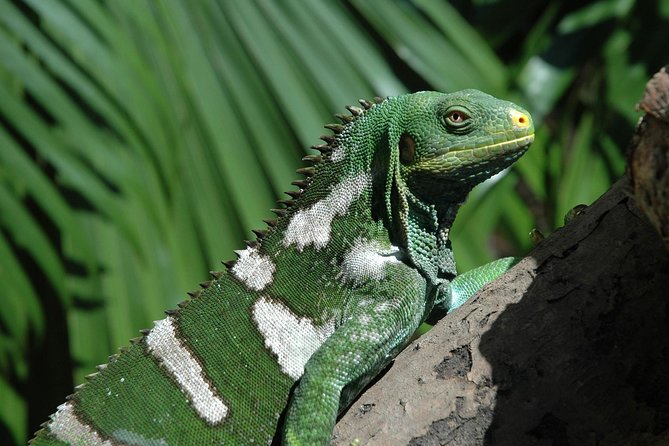Kula Eco Park Admission