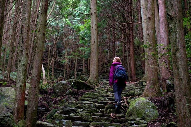 Kumano Kodo Pilgrimage Full-Day Private Trip With Government Licensed Guide