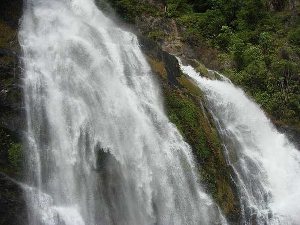 25 Best Tours In Cairns and the Tropical North
