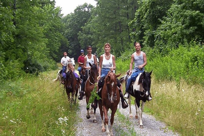 Kusadasi Horse Safari