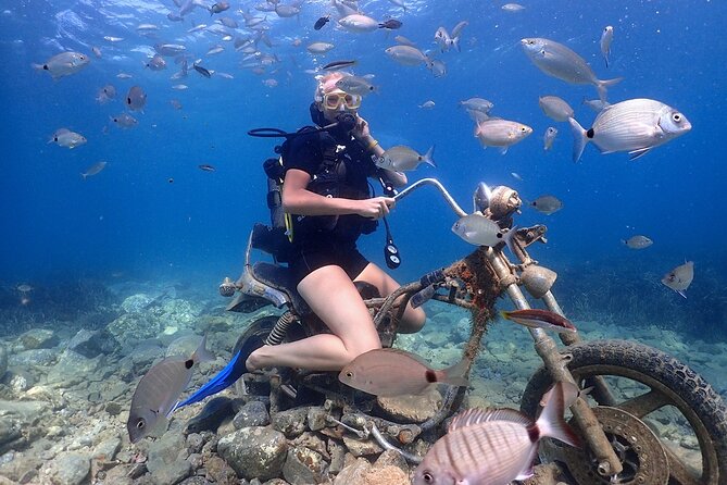 Kusadasi/Selcuk Scuba Diving Adventure With Lunch & Transfer - Good To Know