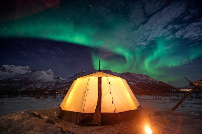 Kvaloya Northern Lights Tour, Reindeer Sledding From Tromso