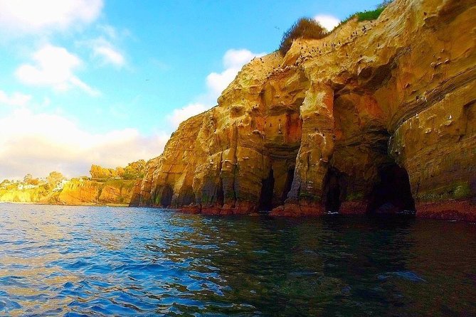 La Jolla Sea Caves Kayak Tour