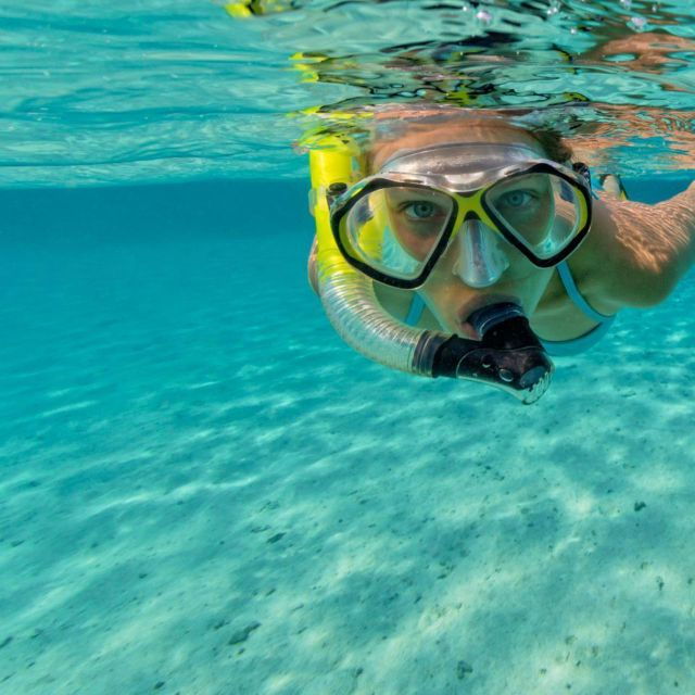 La Jolla Underwater Park: Kayak and Snorkel Tour - Good To Know