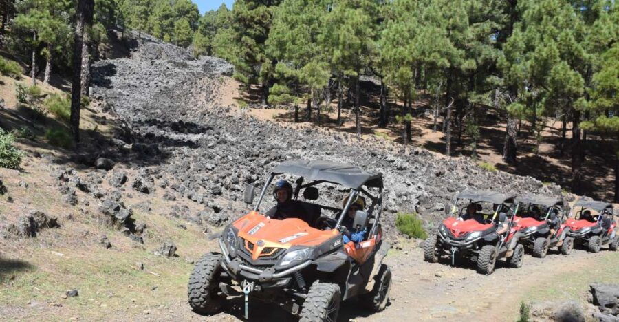La Palma: Volcano Route Buggy Tour