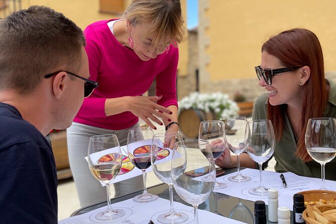 La Rioja Boutique Wine Tour - 2 Bodegas & Picnic Lunch (From Bilbao)