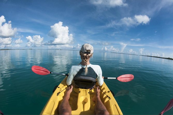 Lahaina Paddle 2-Hour Kayak Small-Group Tour From Maui - Good To Know