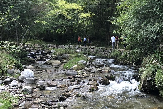 Lake Como Val Senagra Guided Walking Excursion - Good To Know
