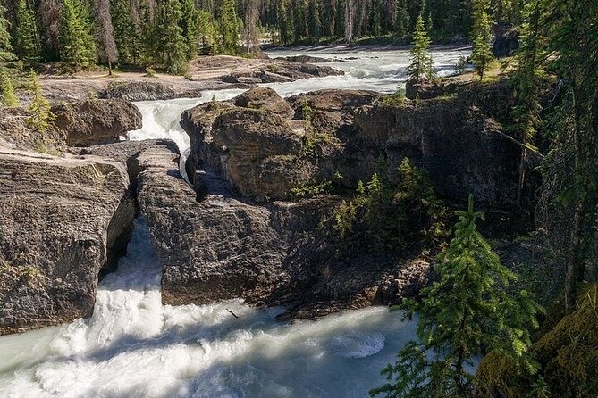 Lake Louise & Yoho N.P From Calgary or Banff (Small Group)