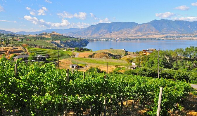Lake Okanagan Private Cruise and Wine Tasting  - Kelowna & Okanagan Valley - Good To Know