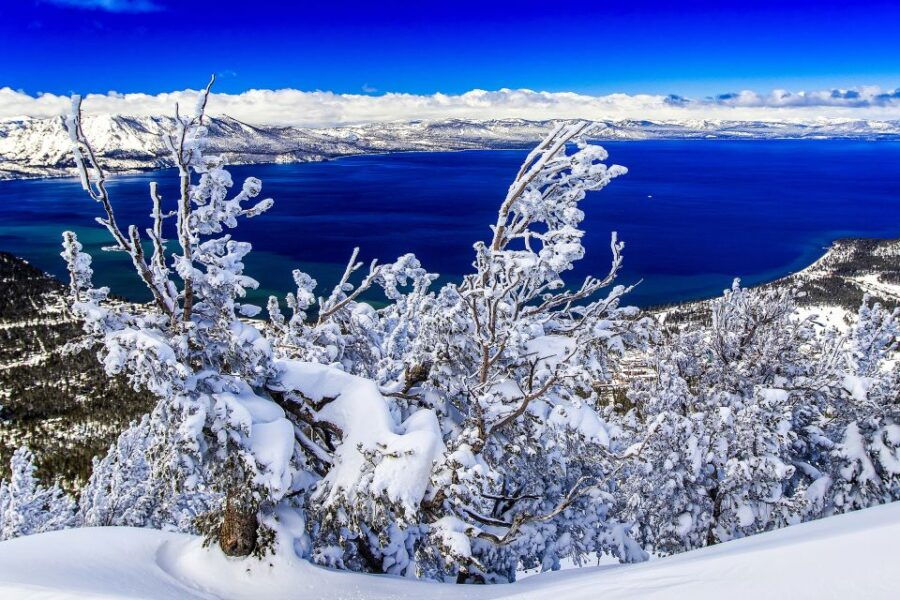 Lake Tahoe: Half-Day Photographic Scenic Tour