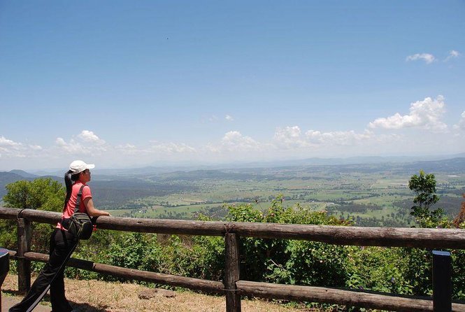 Lamington National Park, OReillys & Vineyard Tour - Good To Know