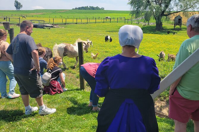 Lancaster County Amish Culture Small-Group Half-Day Tour