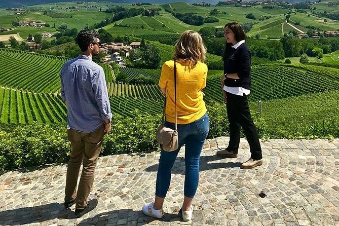15 Best Wine Tours In Langhe Roero and Monferrato