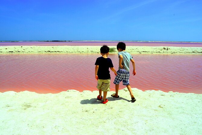 Las Coloradas and Rio Lagartos Tour With All Inclusive - Good To Know