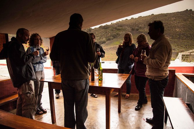 Las Palmas Shore Excursion: Private Volcanic Caldera, Teror Village and Wine-Tasting Tour - Tour Details