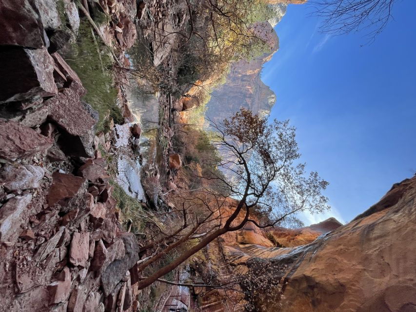 Las Vegas: VIP Guided Photography & Hiking Tour of Zion National Park - Good To Know