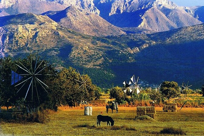 Lassithi Plateau