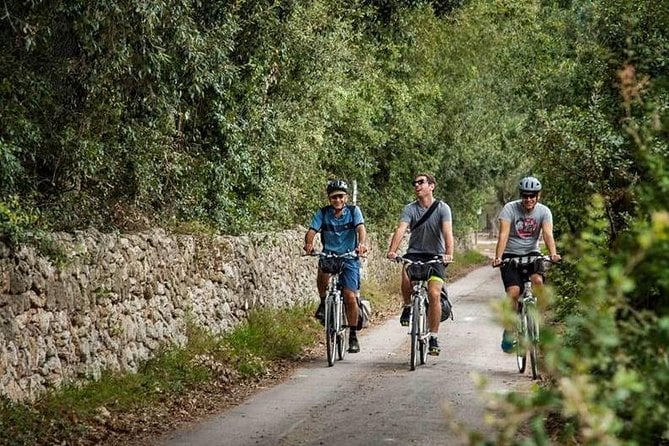 Lecce to Cesine Protected Natural Reserve Full-Day Bike Tour