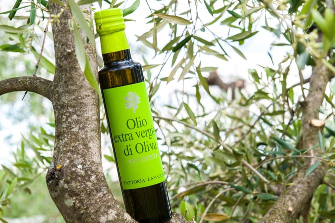 Leonardo Da Vincis Wind Mill Visit and Organic Olive Oil Tasting - Activities Included in the Tour