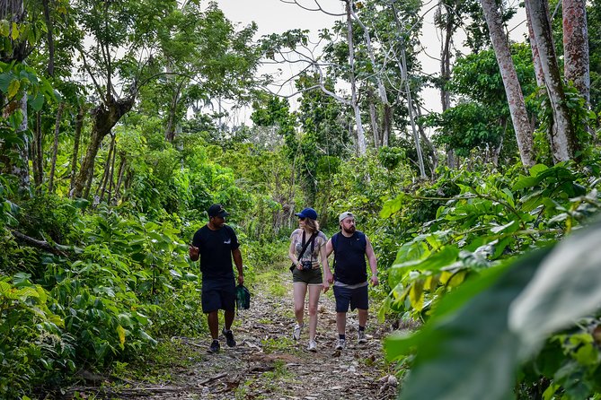 Lets Do Hiking in Punta Cana - Hiking Tour Details