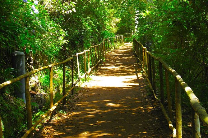 Levada Do Caldeirão Verde Is a Famous Levada Walk Located Near Funchal - Good To Know
