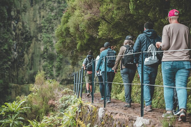 Levada Rabaçal and 25 Fountains Walking Tour - Positive Experiences and Appreciation for Guides