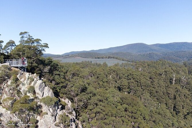 Leven Canyon and Gunns Pains Caves Tour