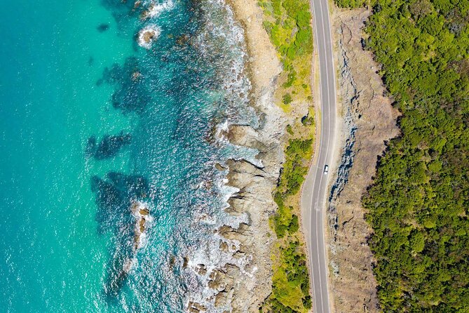 LGBTQ Friendly 9-Hour Great Ocean Road Private Tour - Good To Know