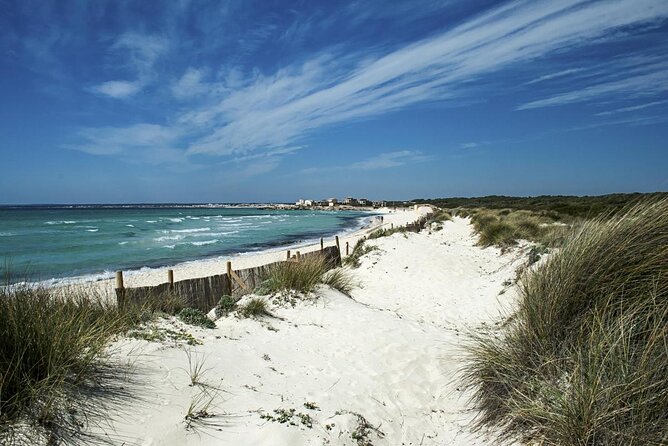 License Free. Fast Boat. Explore Top Beaches; Es Trenc & Es Carbó - Good To Know