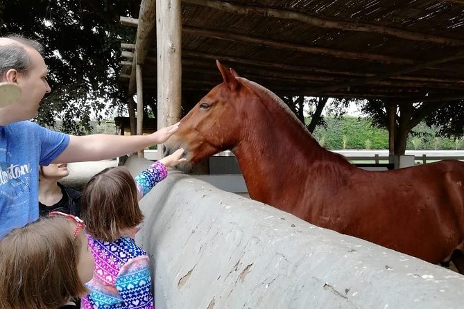 Lima: Premium Peruvian Horse Show With Lunch & Transfers - Background Information