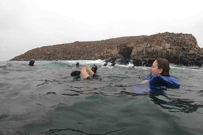 Lima to Palomino Islands Half-Day Sightseeing Cruise - Overview and Highlights