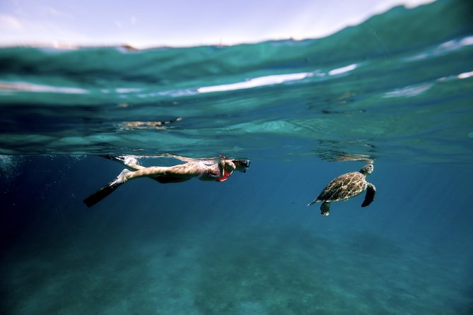 Little Buck Island and Water Island Boat Trip  – St Thomas