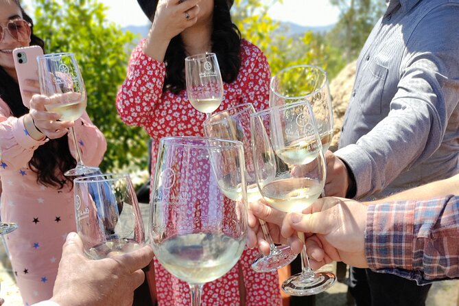 Live the Wine Route in Valle De Guadalupe, the “Capital of Mexican Wine”