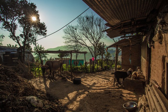 Live With Locals in Panauti - Experience and Activities