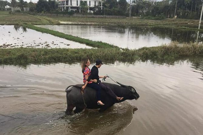 Local Daily Life of Hoi an Countryside From Hoi an - Da Nang - Riding a Water Buffalo Experience