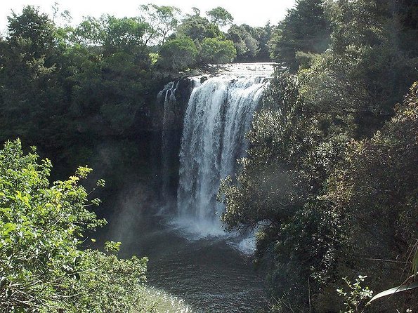 Local Market Tour and Modern Vegetarian Cooking Experience in Northland