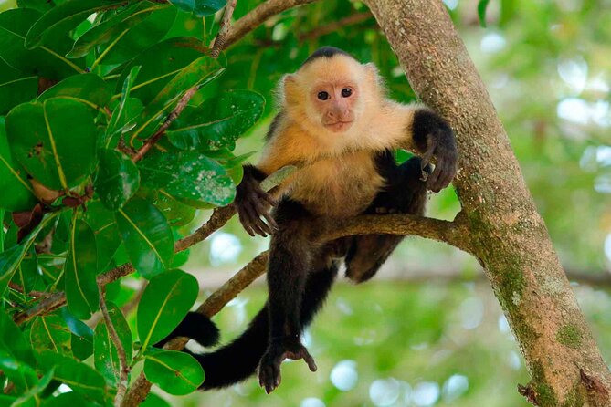 Best Guided Tours In Puerto Maldonado
