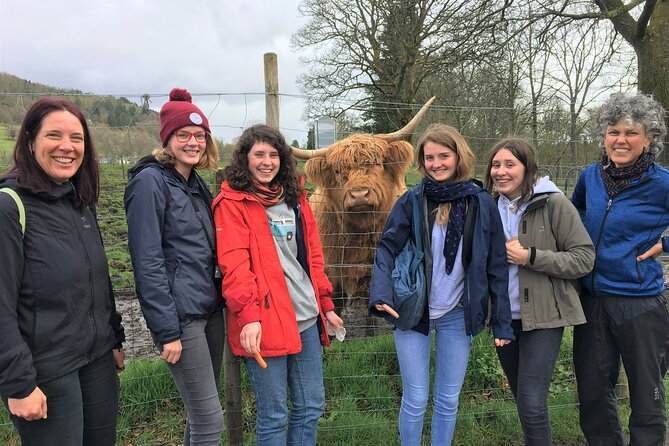 Loch Lomond National Park Tour With 2 Walks Starting Balloch - Tour Details and Itinerary