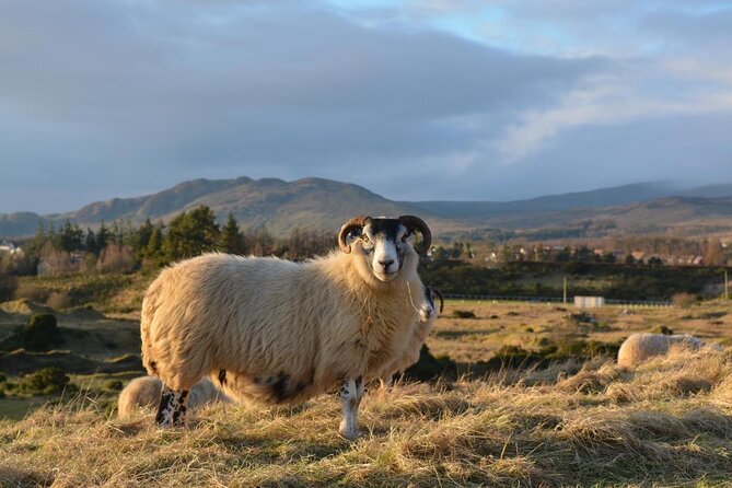 Loch Ness, Inverness & the Highlands - 2 Day Tour From Edinburgh - Good To Know