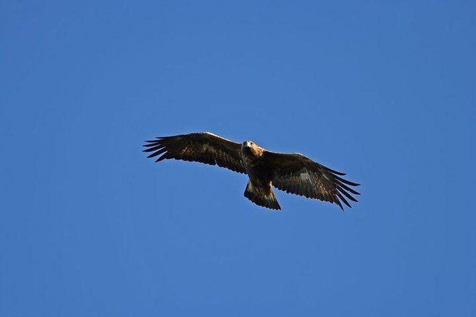 Loch Shiel Cruise: History, Monuments, and Harry Potter  - The Scottish Highlands - Cruise on Loch Shiel