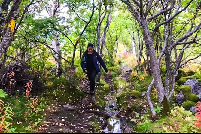 Lofoten Islands Luxury Fishing, Hiking & Beach Tour With Lunch - Good To Know