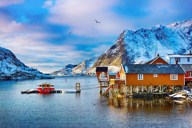Lofoten Winter Photography Tour to Reine - Good To Know