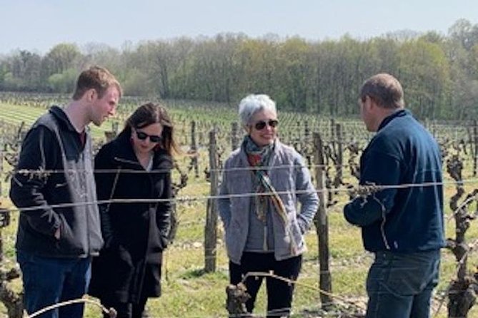 3 Best Tours In Chinon