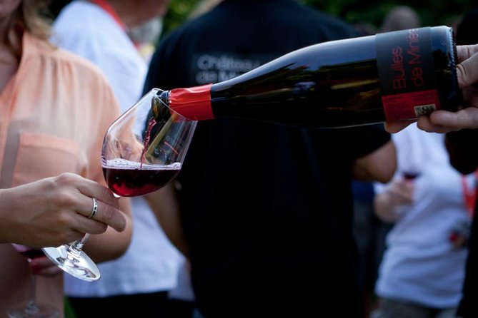 Loire Valley Wines Private Day Tour With Tastings From Tours or Amboise - Good To Know